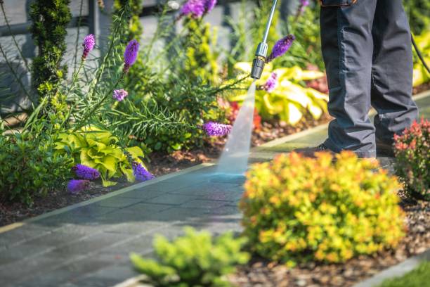 Best Post-Construction Pressure Washing  in Ormond Beach, FL