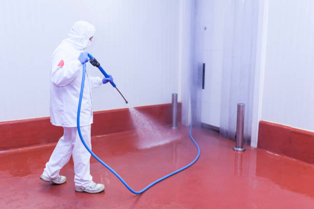 Best Spring Cleaning  in Ormond Beach, FL